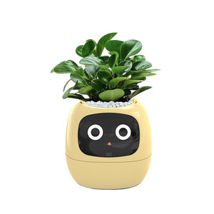 Meet Ivy - AI Powered GrowBuddy Smart Plant Care System