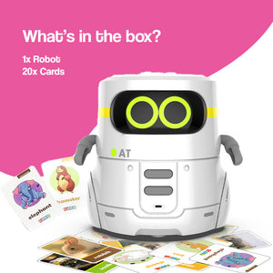 i-Learn & Play Interactive Robot