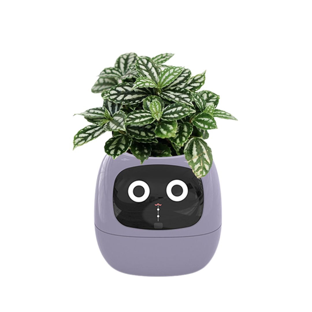 Meet Ivy - AI Powered GrowBuddy Smart Plant Care System