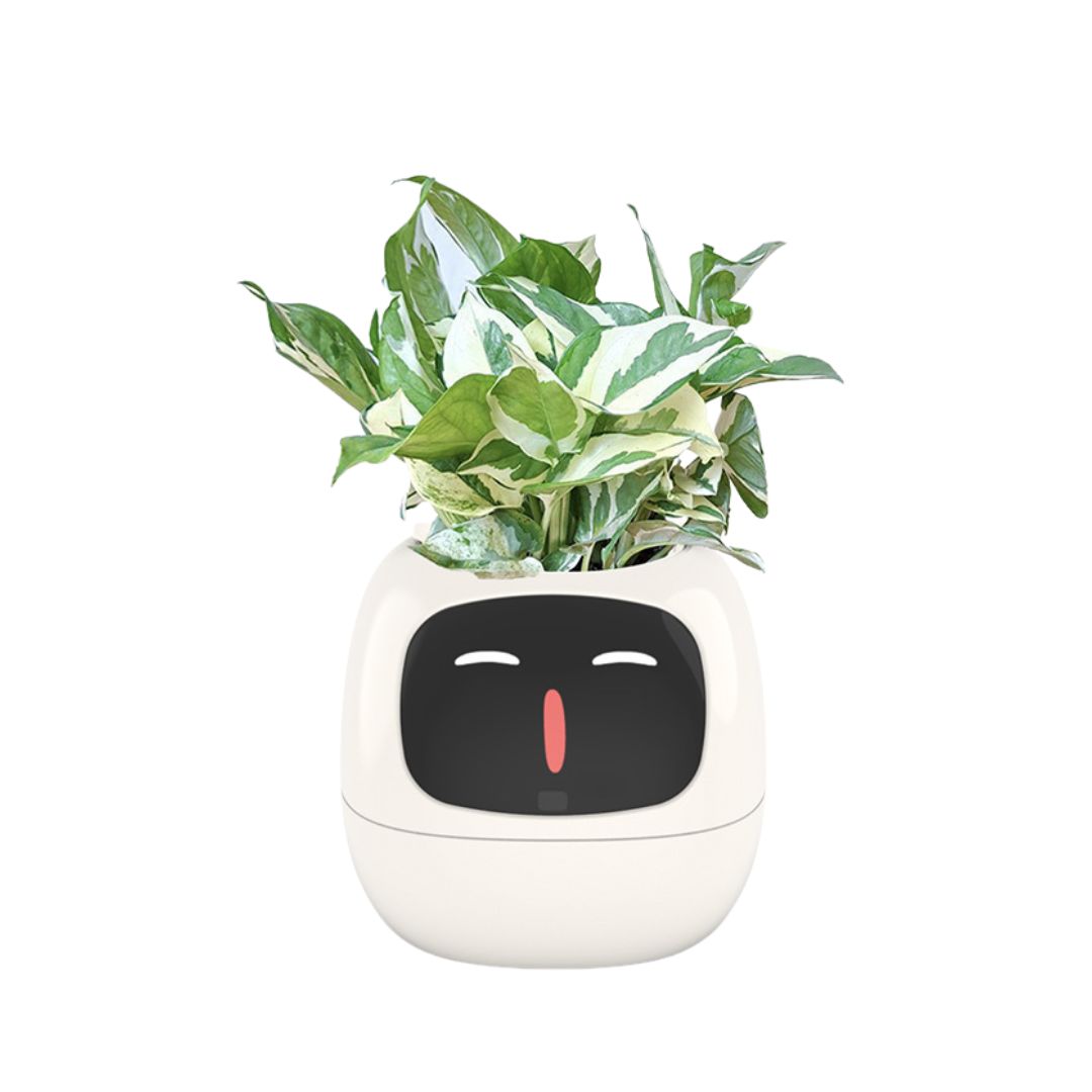 Meet Ivy - AI Powered GrowBuddy Smart Plant Care System